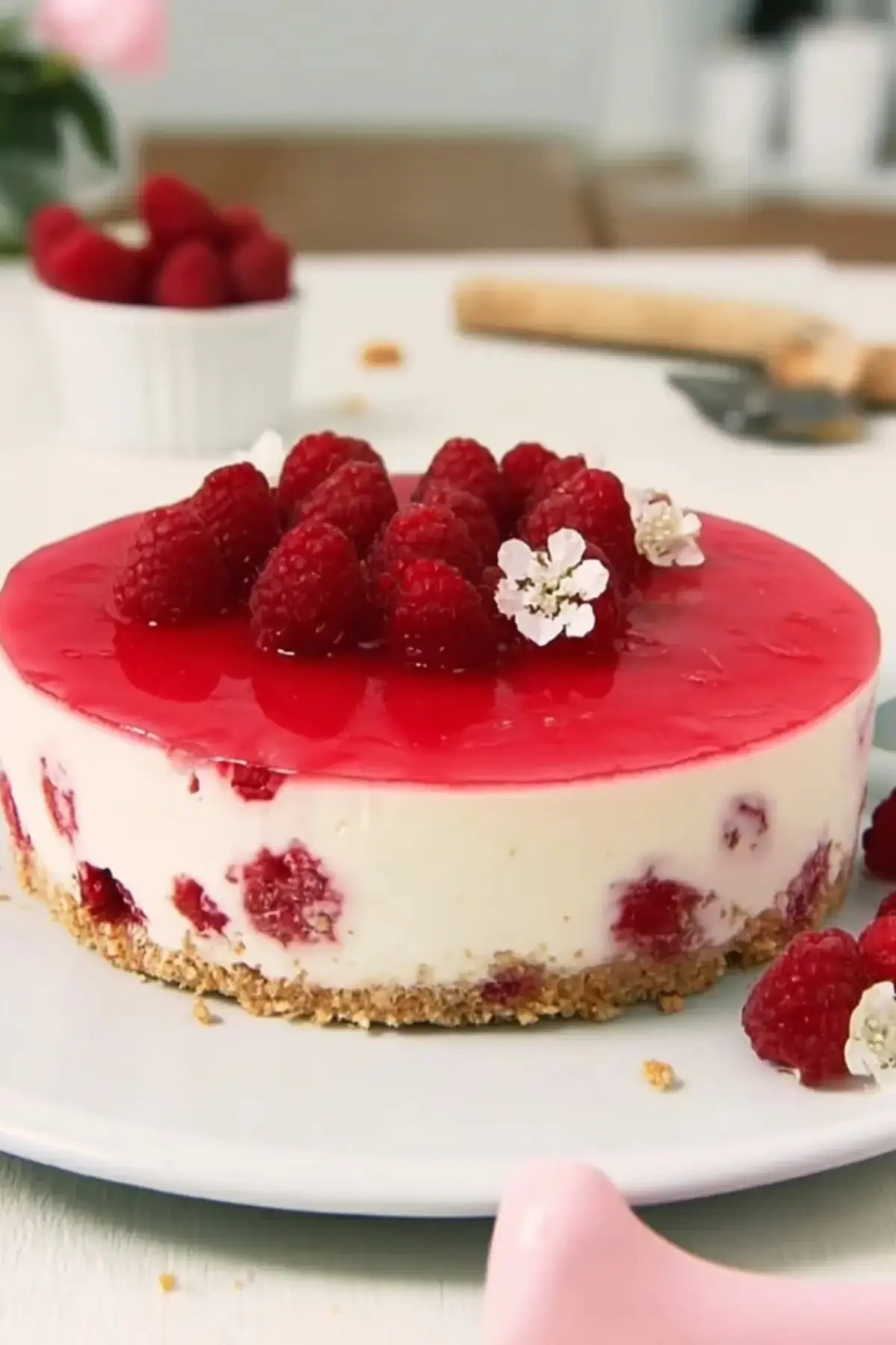 Himbeer Joghurt Torte ohne Backen