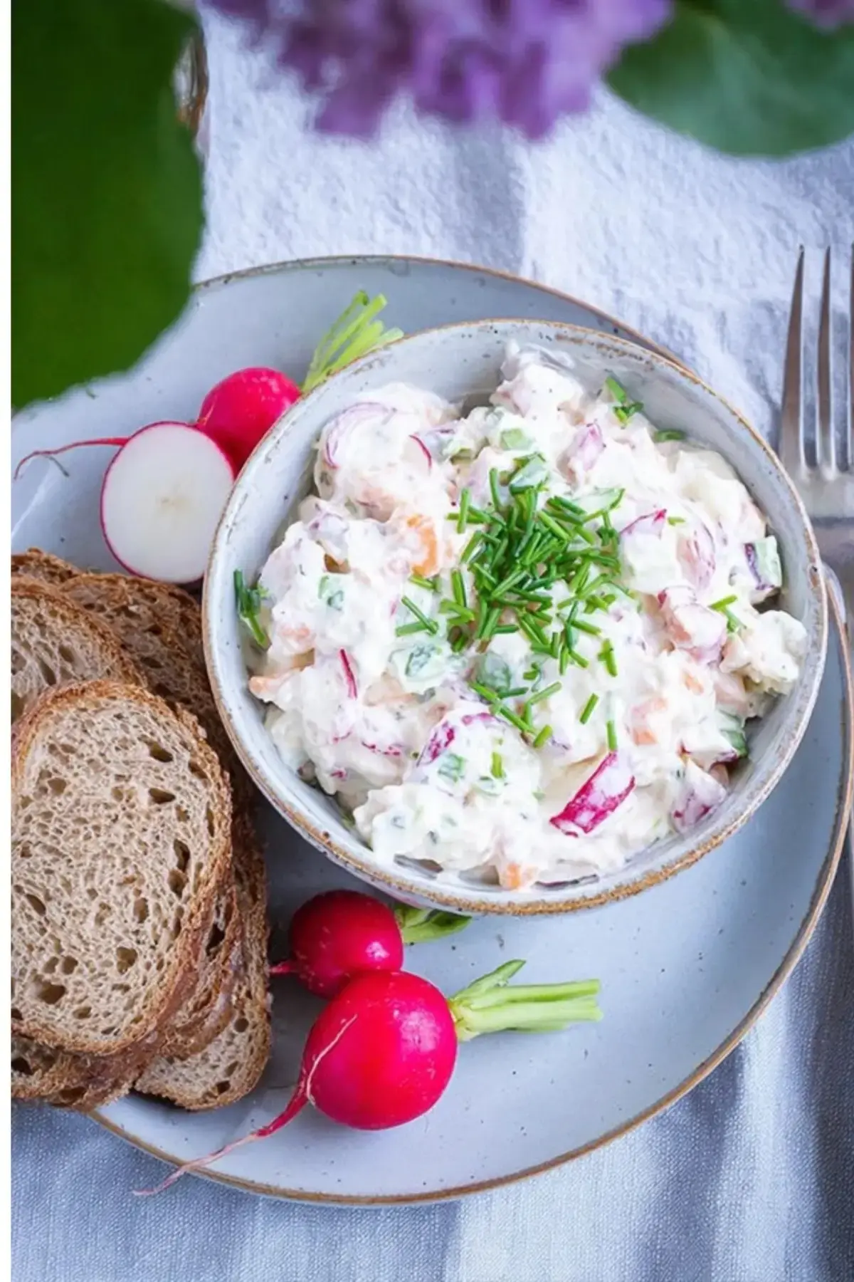 Leichter Radieschen Dip mit Äpfeln und Frischkäse