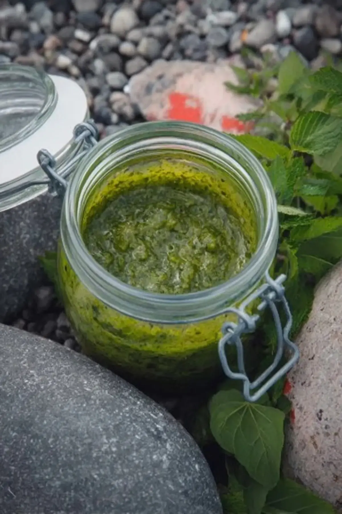 Radieschenpesto frisch aus dem Garten