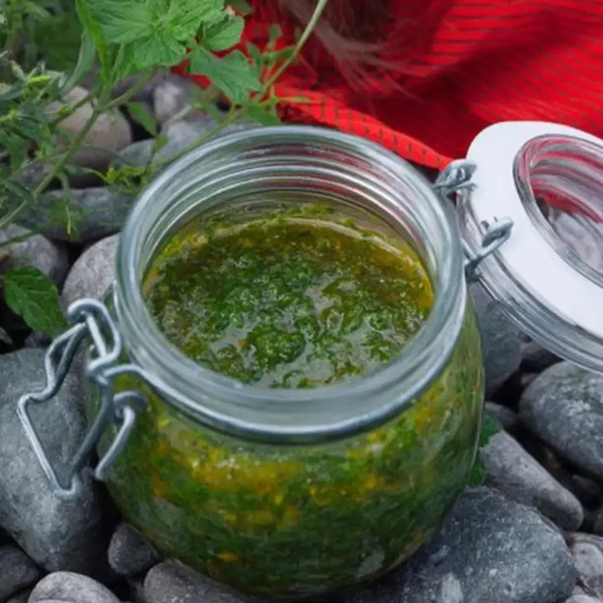Radieschenpesto frisch aus dem Garten