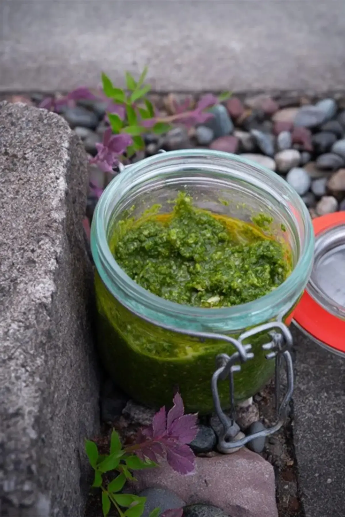 Radieschenpesto frisch aus dem Garten