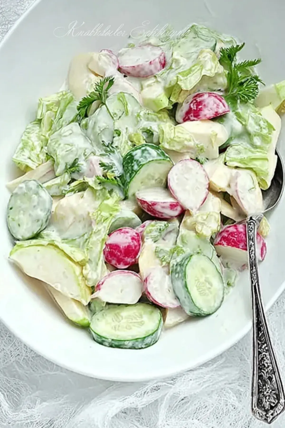 Gurken Radieschen Apfel Salat
