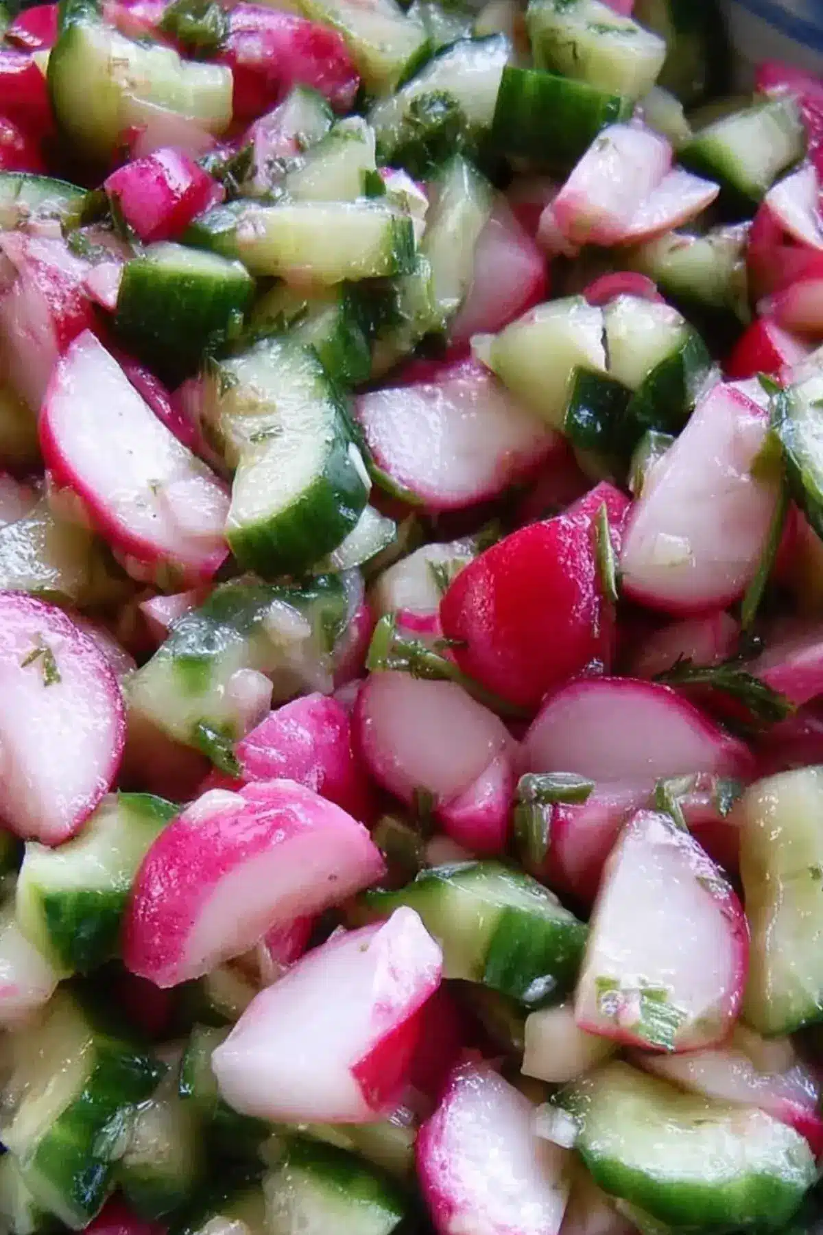 Radieschensalat mit Gurke