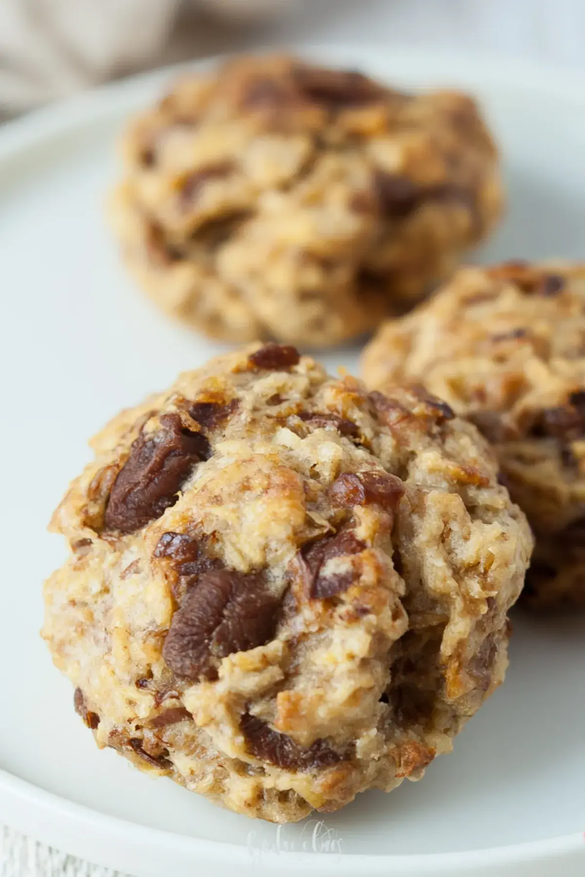 Gesunde vegane Kinder Kekse ohne Zucker und Ei