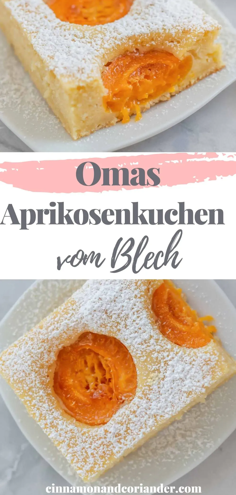 deutscher aprikosen-rührkuchen