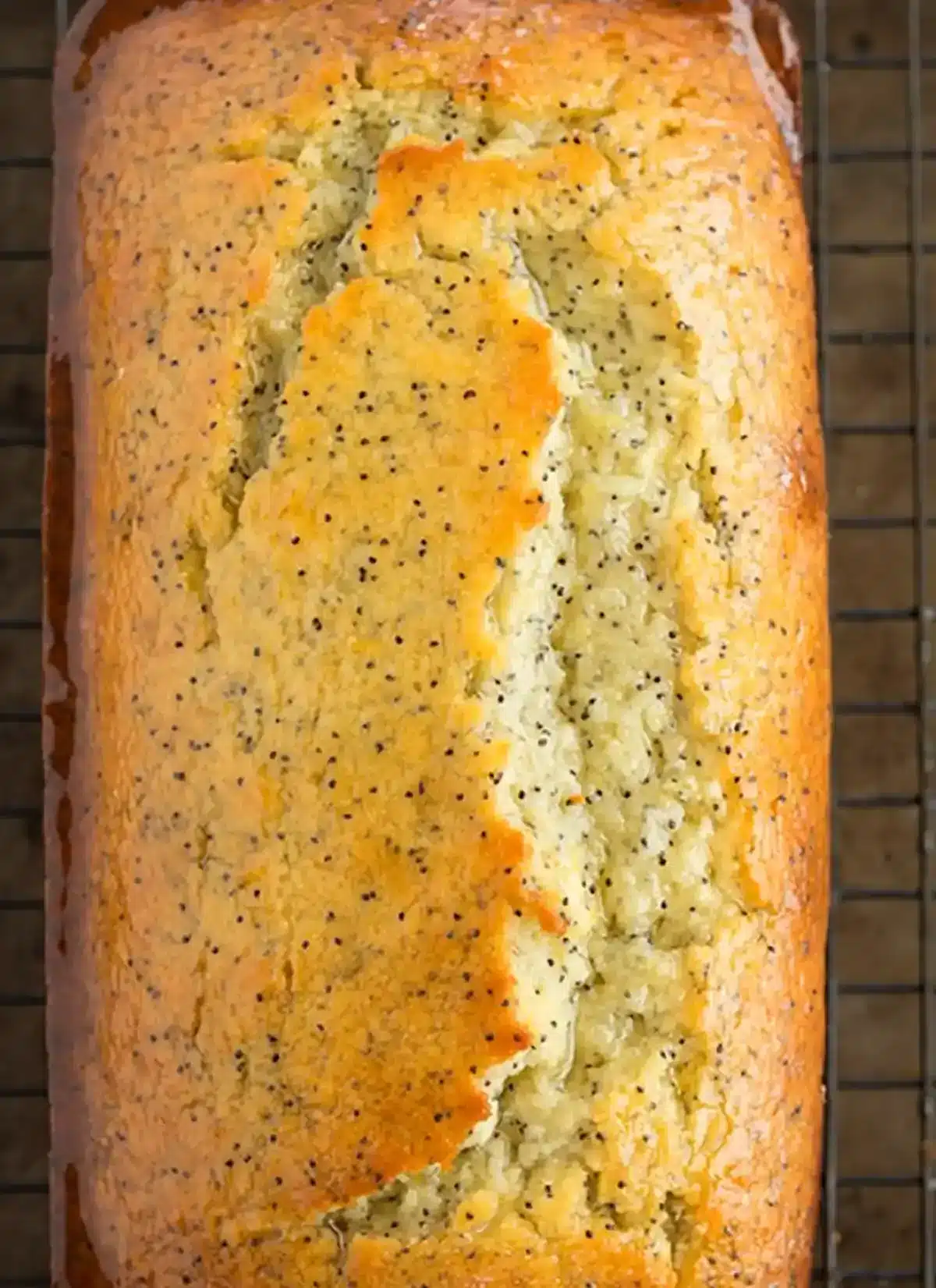 Zitronen-Mohn-Brot Rezept 2 Zitronen Mohn Brot