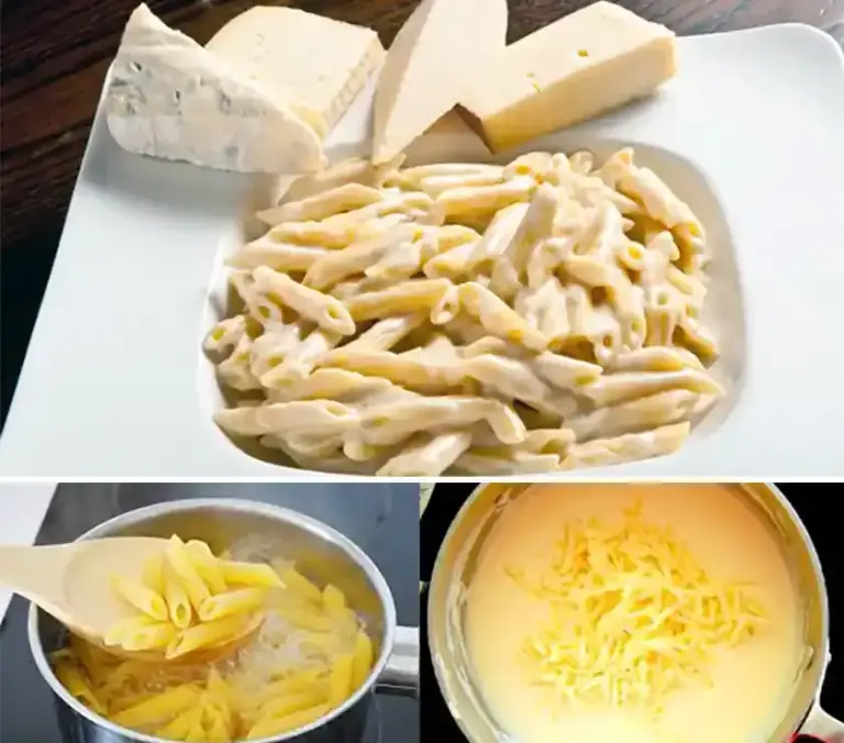 cremige Nudeln mit Knoblauch Käse Soße